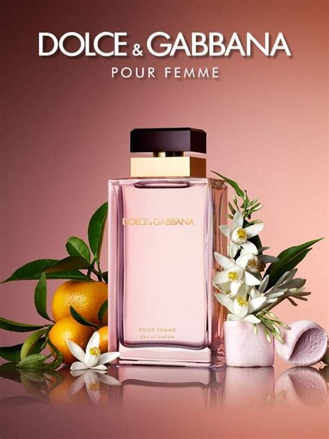 parfum collection privee dolce gabbana|dolce and gabbana perfumes list.